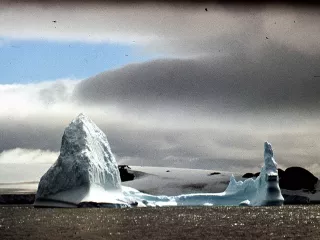 Icebergi w Cieśninie Nelsona / fot. Ryszard Mokrzycki (1981-02-04)